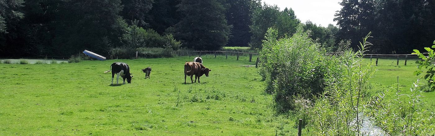 Amt Mittelholstein Ehndorf Gemeinde Ehndorf